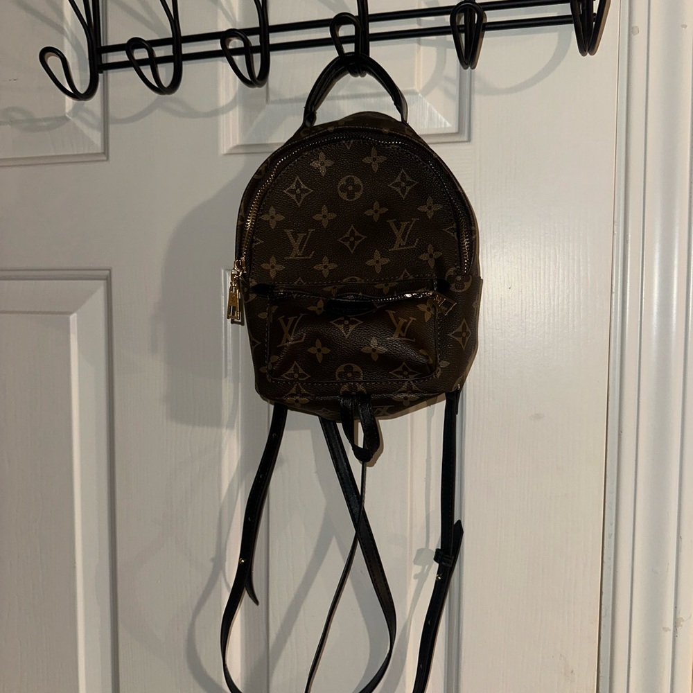 Louis Vuitton Dark Brown Monogram Backpack “Palm Springs Mini”